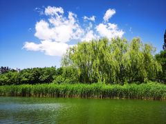 -大兴滨河森林公园