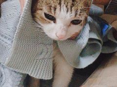 -煜北·西北小馆(曲阳路店)