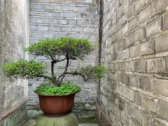 -天一阁博物院