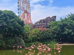 -芽庄珍珠岛游乐园