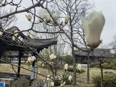 -贡湖湾湿地公园