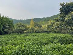 -九龙潭景区