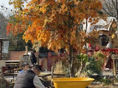 -HERRE·FARM 赫尔露营农场·团建聚会包场