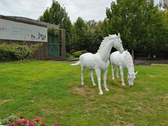 -春晖园度假酒店温泉