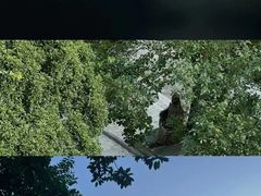 -深圳湾公园(南山区)