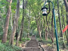 -杭州黄龙洞