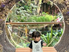 -正佳雨林生态植物园