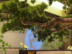 -聆桂烤鸭·金奖烤鸭(静联广场店)