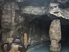 -裕龙汤泉