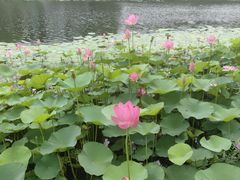 -上海怡沁园度假酒店