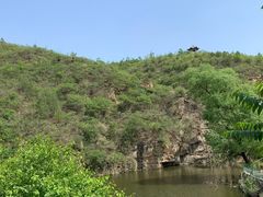 -双新垂钓园
