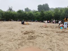 -东郊湿地公园