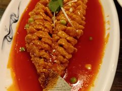 -陈麻婆豆腐(旗舰店)