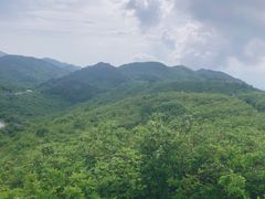 -大围山国家森林公园