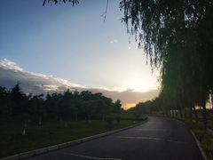 -洨河生态公园