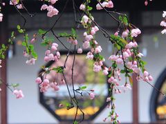 -莫愁湖公园