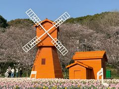 -苏州上方山国家森林公园