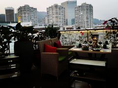 -润园四季椰子鸡火锅(海上世界店)