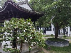 -白鹿洞书院