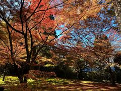 -三千院