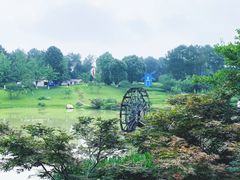 -铁山坪森林公园