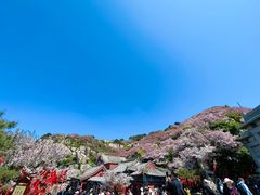 -泰山风景名胜区