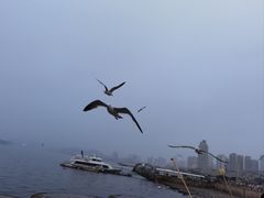 -星海广场