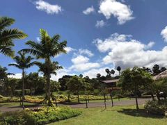 -夏威夷珍珠港