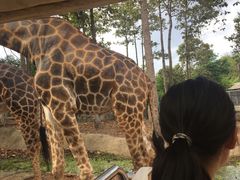 -清迈夜间动物园