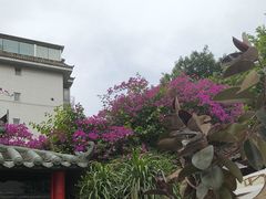 -院8里·少城记忆老川菜(宽窄巷子店)