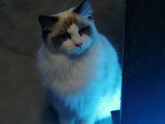 -零纪元VR体验馆·桌游(黄浦店)