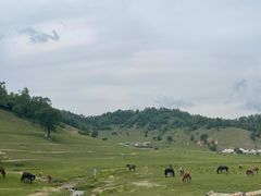 -关山牧场王师烤全羊