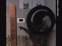 -梵猫·新养生(湛江鼎盛店)