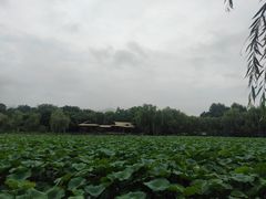 -敬亭山风景名胜区