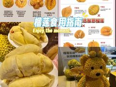 -深圳野生动物园