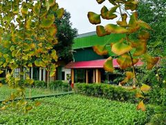 -洪湖家庭农场·团建·露营·会议
