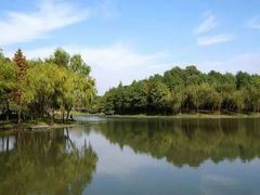 -尚贤河湿地