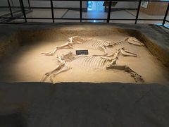 -洛阳周王城天子驾六博物馆