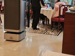 -惠州康帝国际酒店