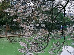 -红星桥(地铁站)