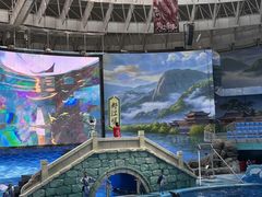 -海合安成都极地海洋公园