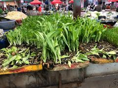 -昆明东站水果交易市场