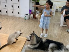 -李小姐の猫咖啡馆(五角场店)