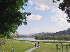 -风云岭森林公园