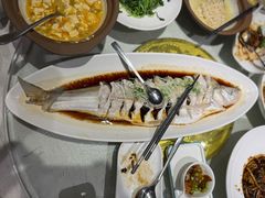 -金枝玉叶上海人家食府(三里河店)