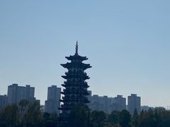 -洋湖国家湿地公园