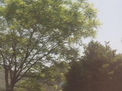 -大水川景区