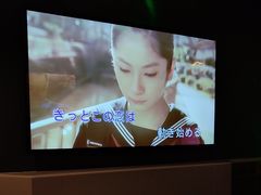 -INLOVE KTV(世博源店)