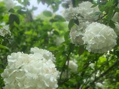 -杭州城北体育公园