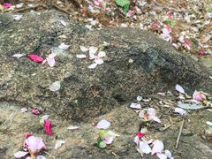 -水濂山森林公园